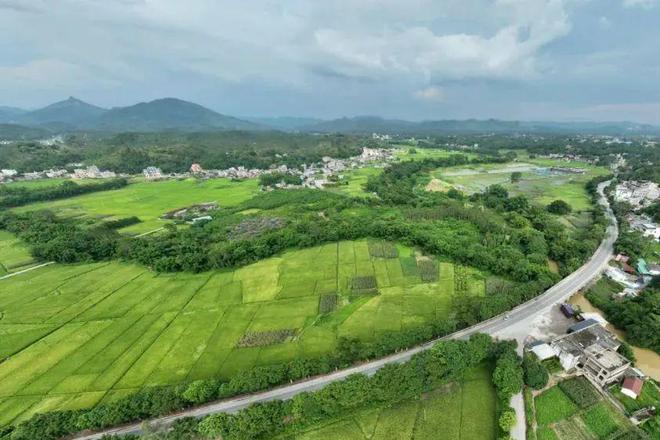 存水弯粗骨料垂直向固结系数次干路开工！玉林一县二级路扩建途径